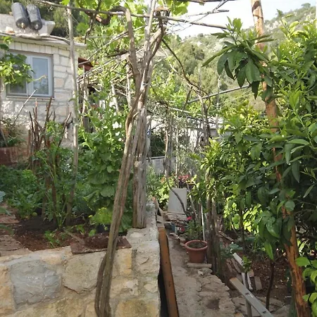 Seaside Secluded Cove Smokvina, Hvar - 9501 Διαμέρισμα Bogomolje
