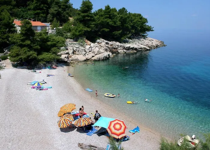 Seaside Secluded Cove Smokvina, Hvar - 9501 Bogomolje