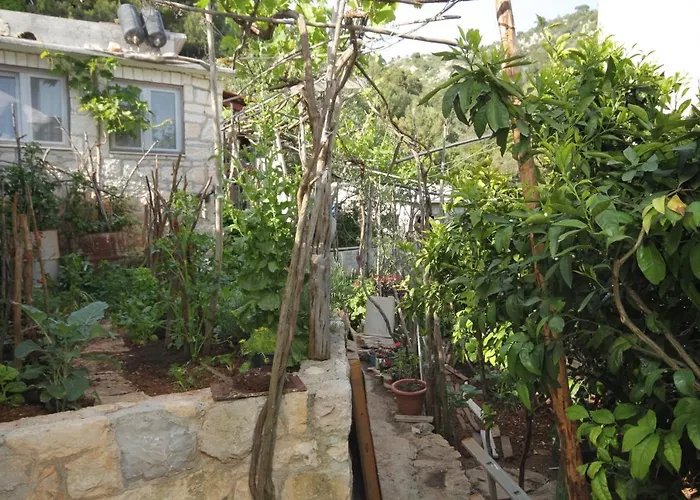 Seaside Secluded Cove Smokvina, Hvar - 9501 Διαμέρισμα Bogomolje