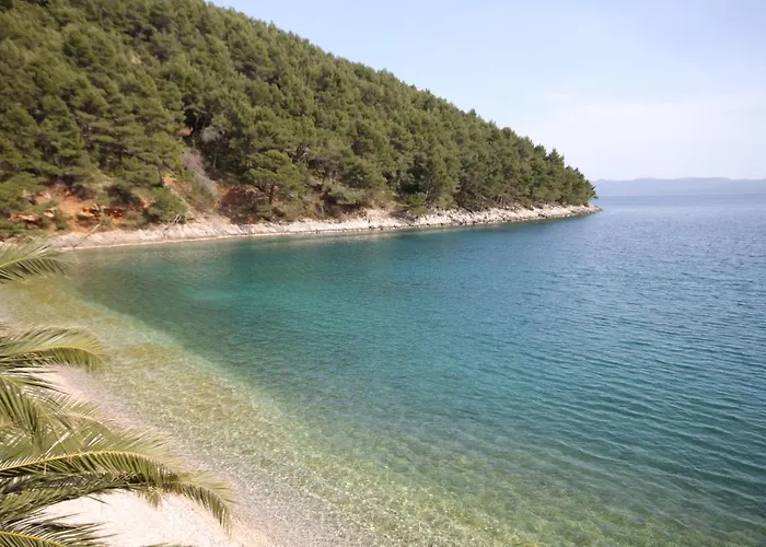Seaside Secluded Cove Smokvina, Hvar - 9501 *